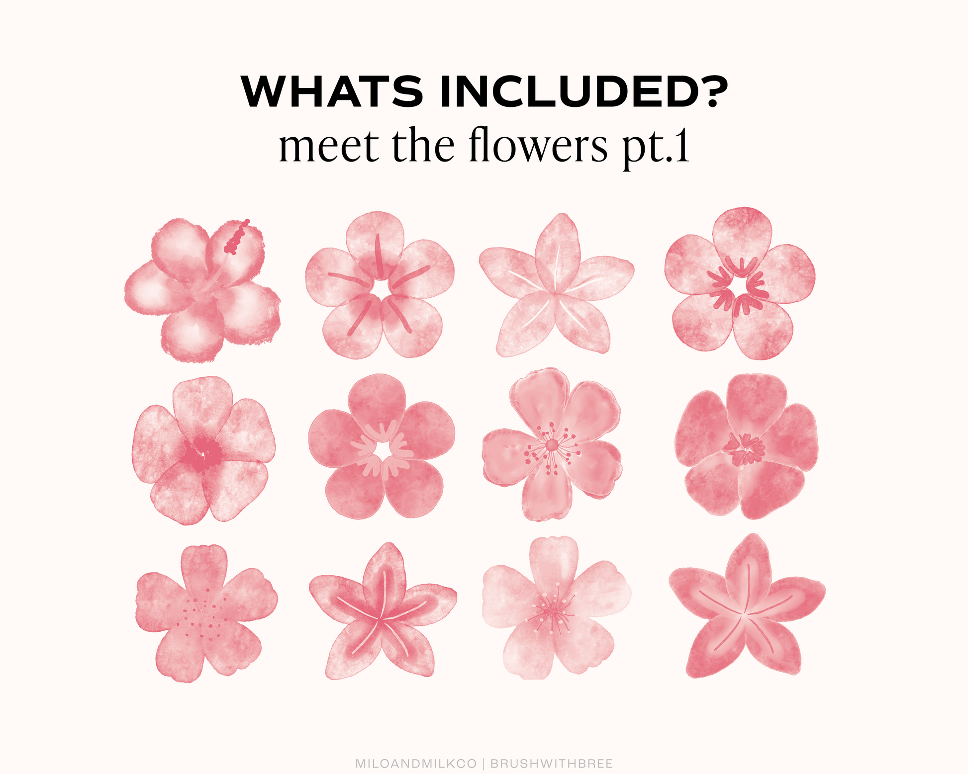 Watercolor Flower Stamp Collection