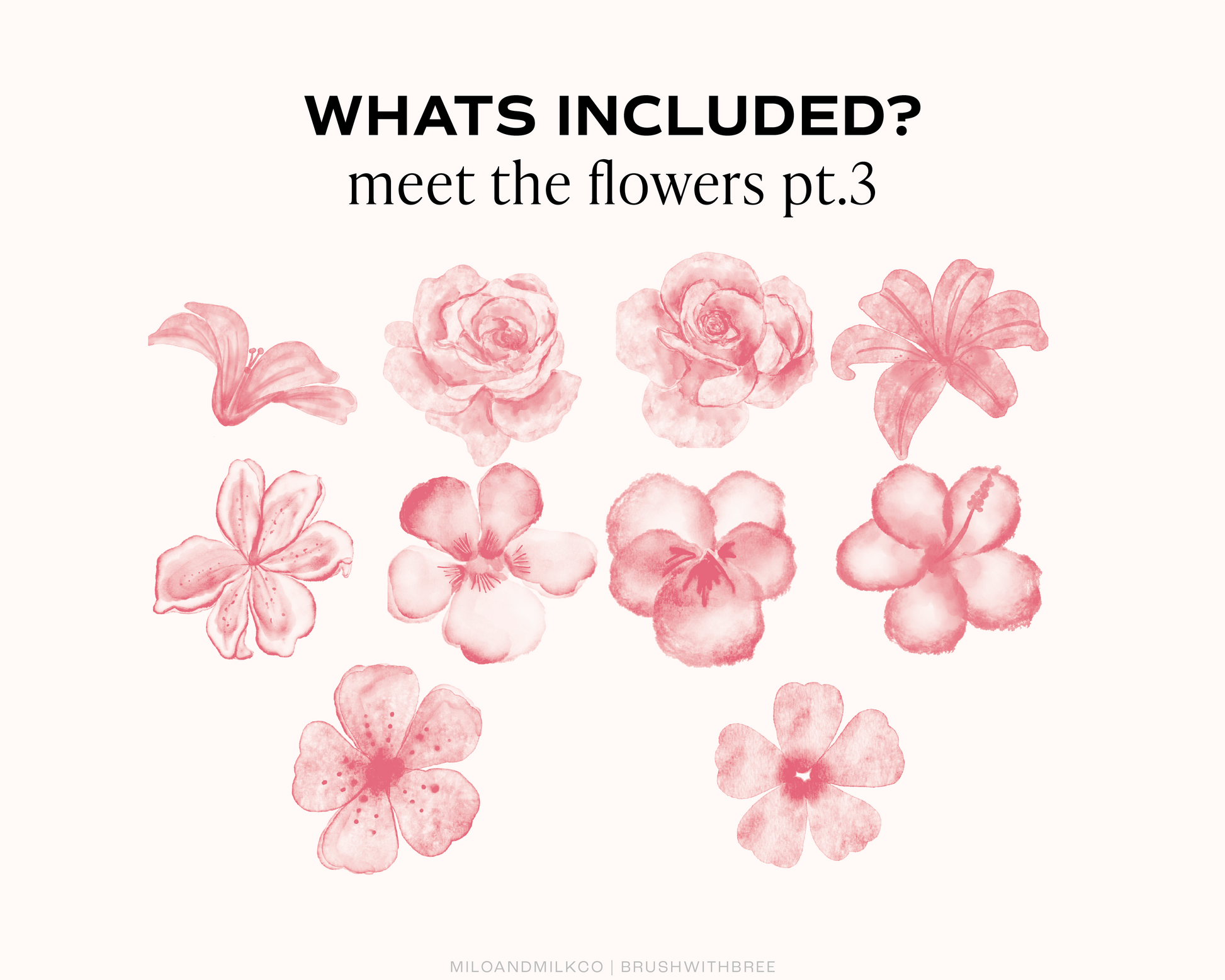 Watercolor Flower Stamp Collection